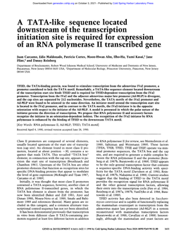 A TATA-Iike Sequence Located Downstream of the Transcription Initiation Site Is Required for Expression of an RNA Polymerase II Transcribed Gene