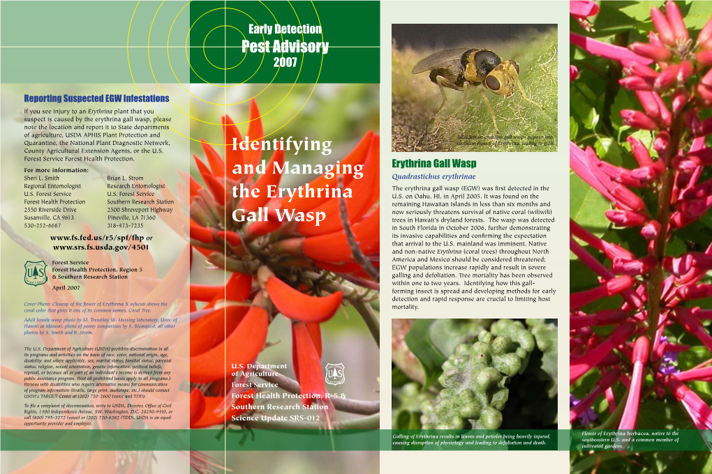 Identifying and Managing the Erythrina Gall Wasp