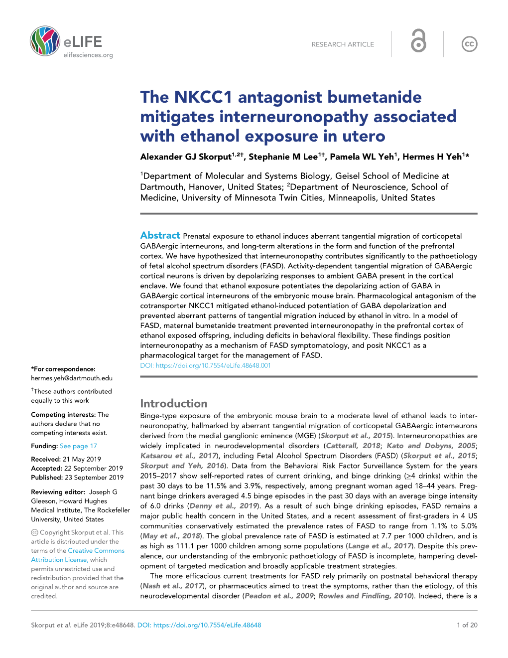 The NKCC1 Antagonist Bumetanide Mitigates Interneuronopathy