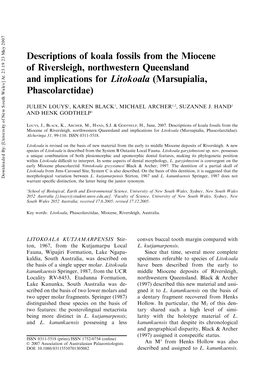 Descriptions of Koala Fossils from the Miocene of Riversleigh