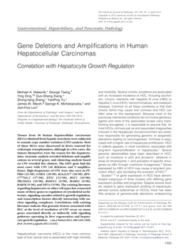 Gene Deletions and Amplifications in Human Hepatocellular Carcinomas