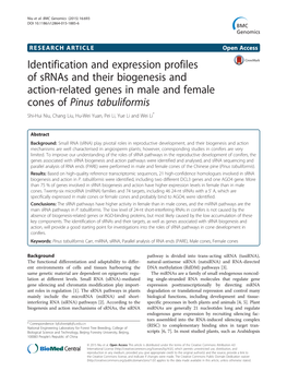 Identification and Expression Profiles of Srnas and Their Biogenesis And