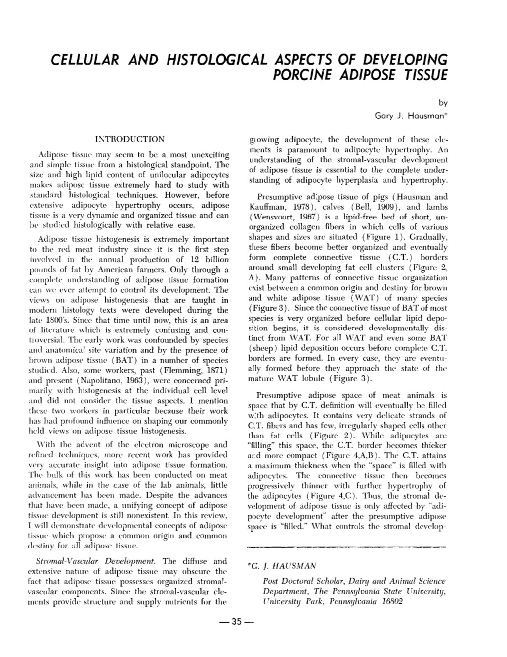 Cellular and Histological Aspects of Developing Porcine Adipose Tissue