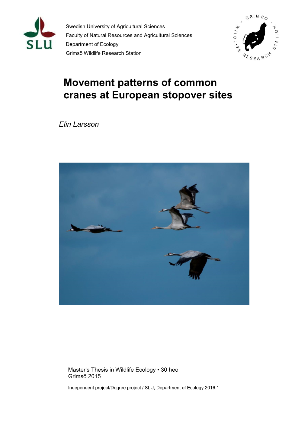 Movement Patterns of Common Cranes at European Stopover Sites