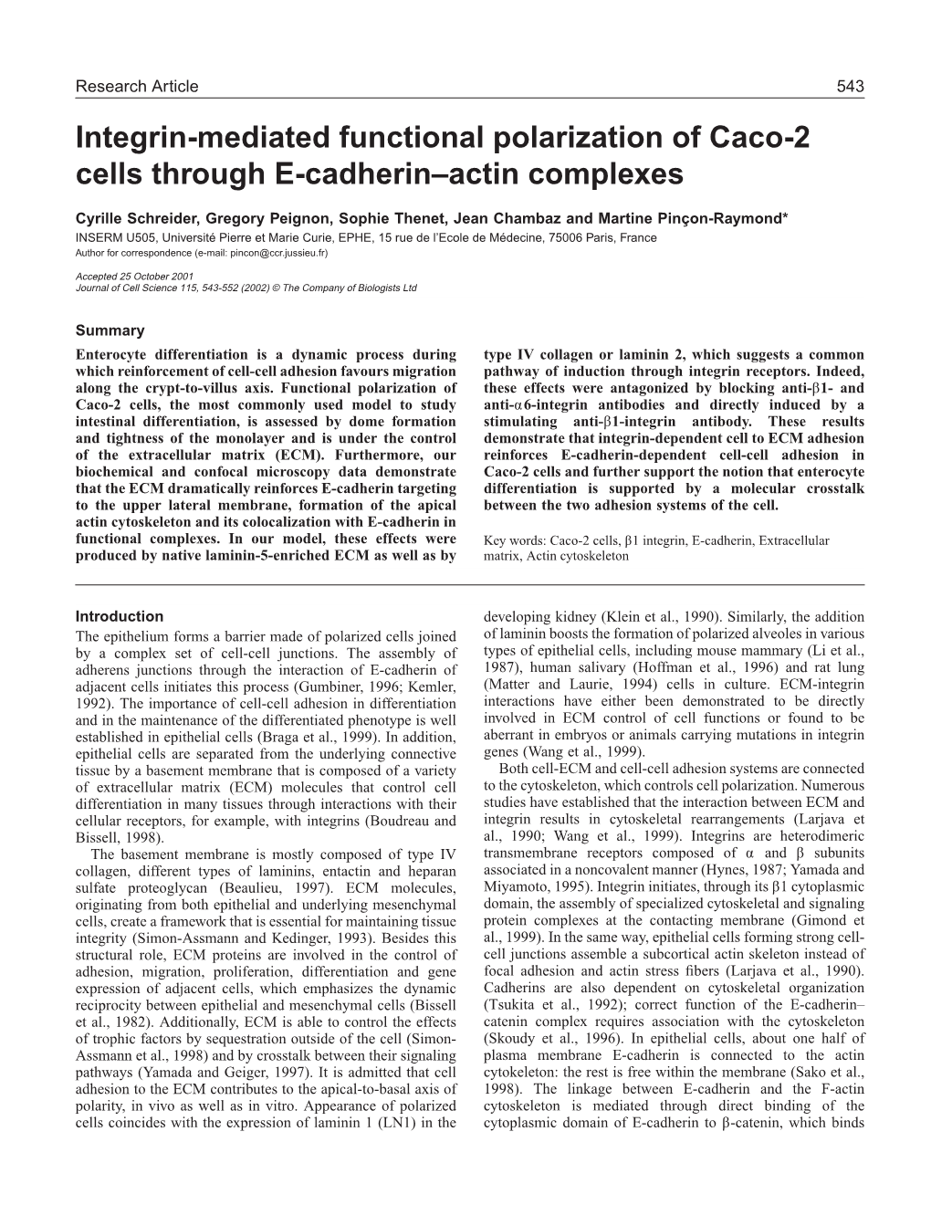Integrin-Induced E-Cadherin–Actin Complexes 545