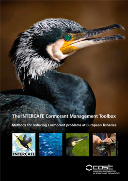 The INTERCAFE Cormorant Management Toolbox