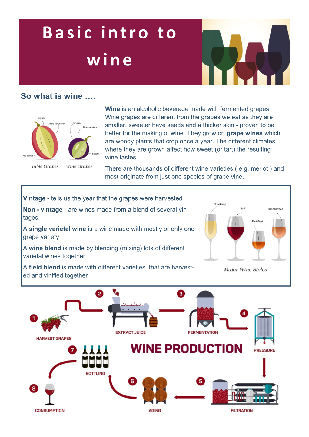 Basic Intro to Wine