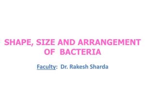Shape, Size and Arrangement of Bacteria