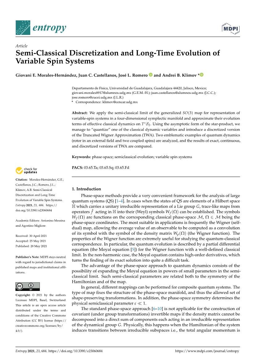 Semi-Classical Discretization and Long-Time Evolution of Variable Spin Systems