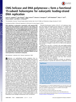 CMG Helicase and DNA Polymerase E Form a Functional 15-Subunit Holoenzyme for Eukaryotic Leading-Strand DNA Replication