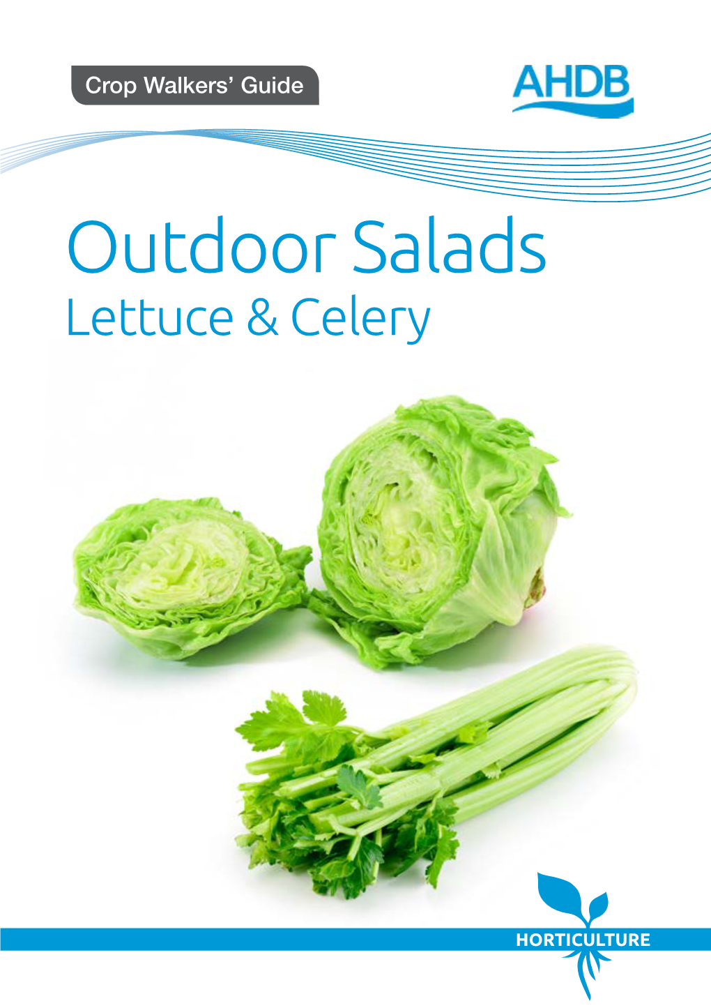 Outdoor Salads Lettuce & Celery Outdoor Salads Crop Walkers’ Guide Guideguideintroduction