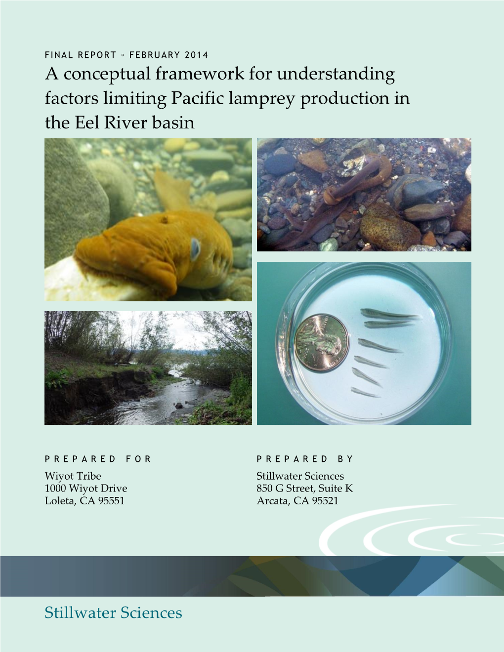 A Conceptual Framework for Understanding Factors Limiting Pacific Lamprey Production in the Eel River Basin