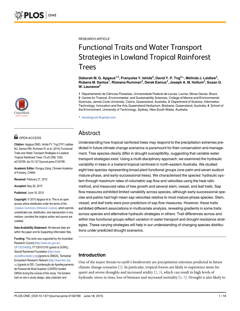 Functional Traits and Water Transport Strategies in Lowland Tropical Rainforest Trees