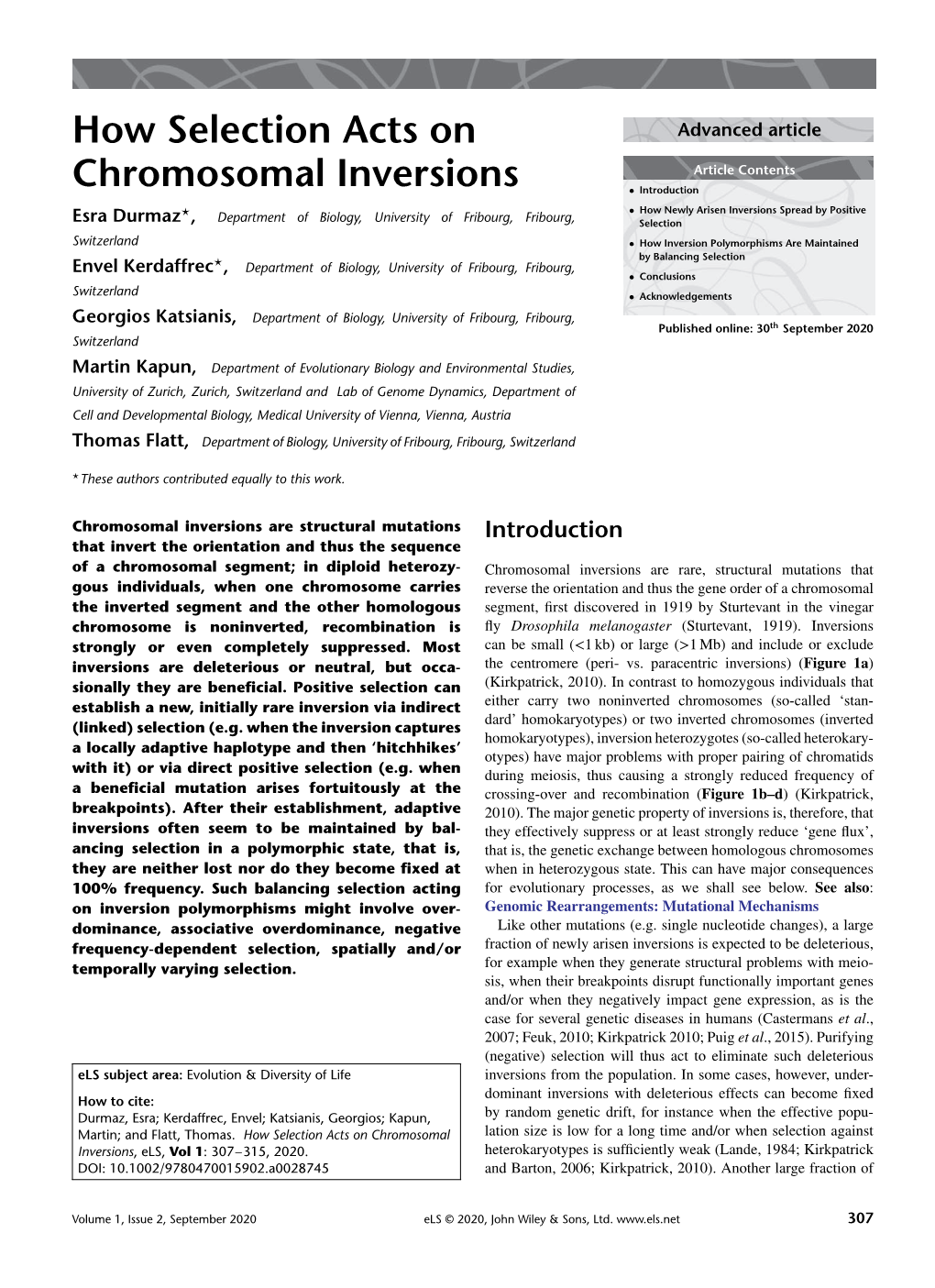 How Selection Acts on Chromosomal Inversions