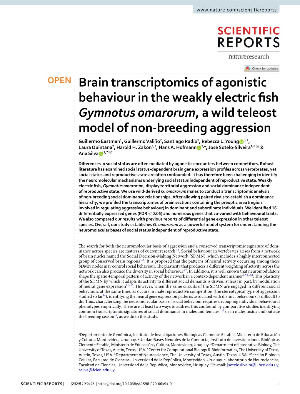 Brain Transcriptomics of Agonistic Behaviour in the Weakly Electric Fish