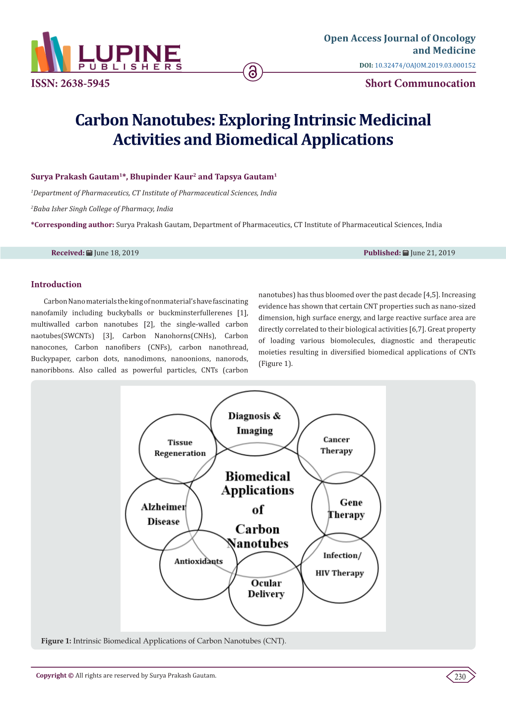 Carbon Nanotubes: Exploring Intrinsic Medicinal Activities and Biomedical Applications