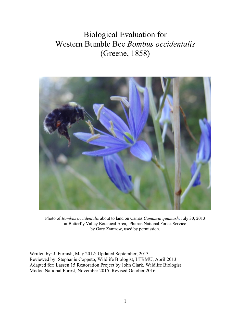 Biological Evaluation for Western Bumble Bee Bombus Occidentalis (Greene, 1858)