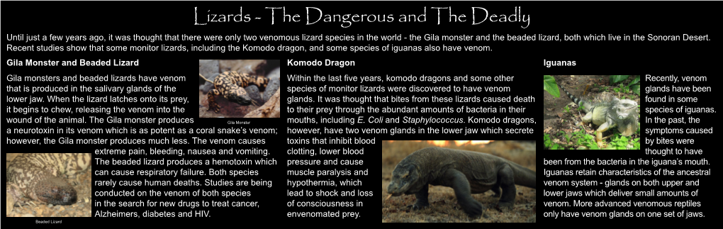 Venomous Lizards