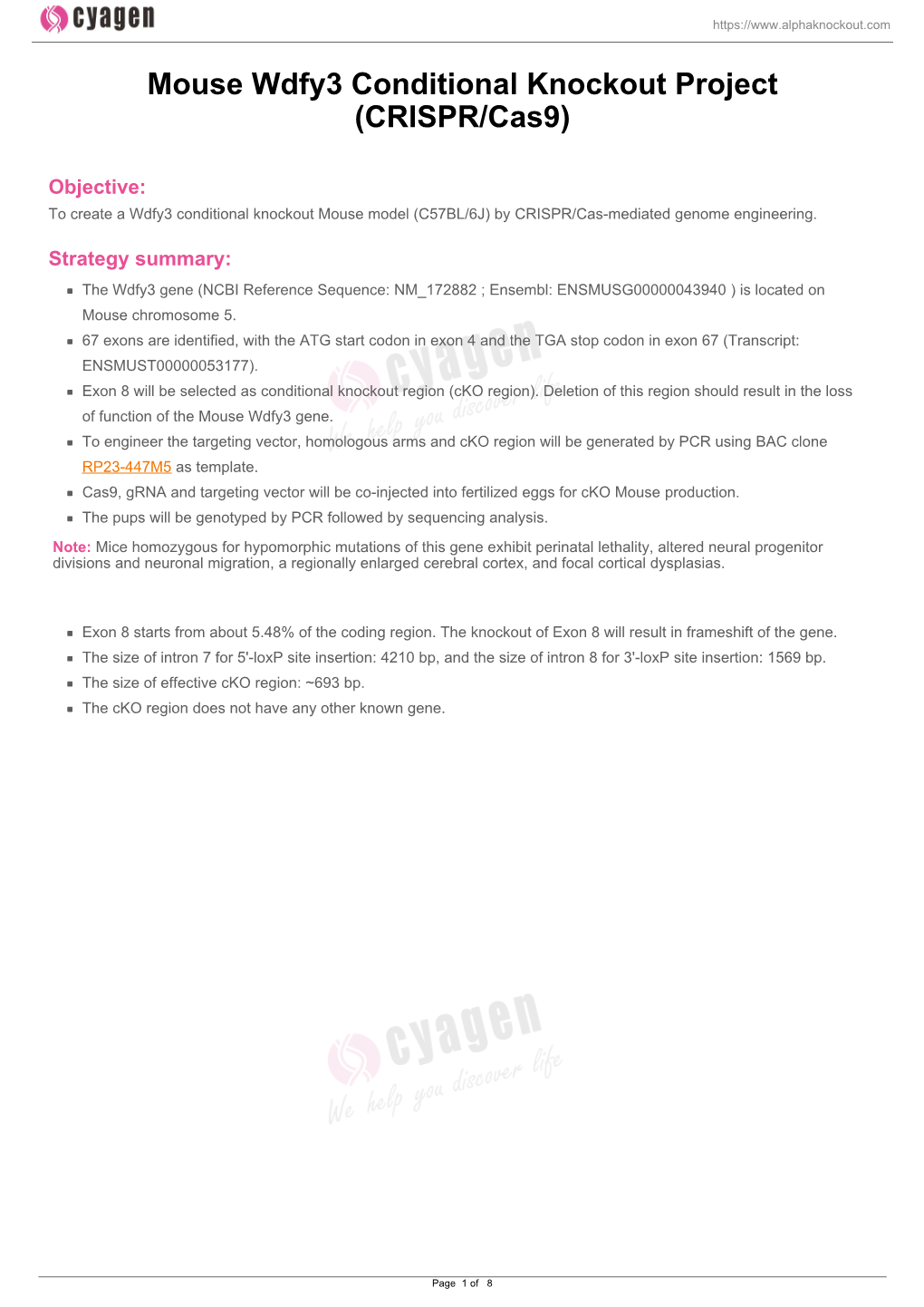 Mouse Wdfy3 Conditional Knockout Project (CRISPR/Cas9)