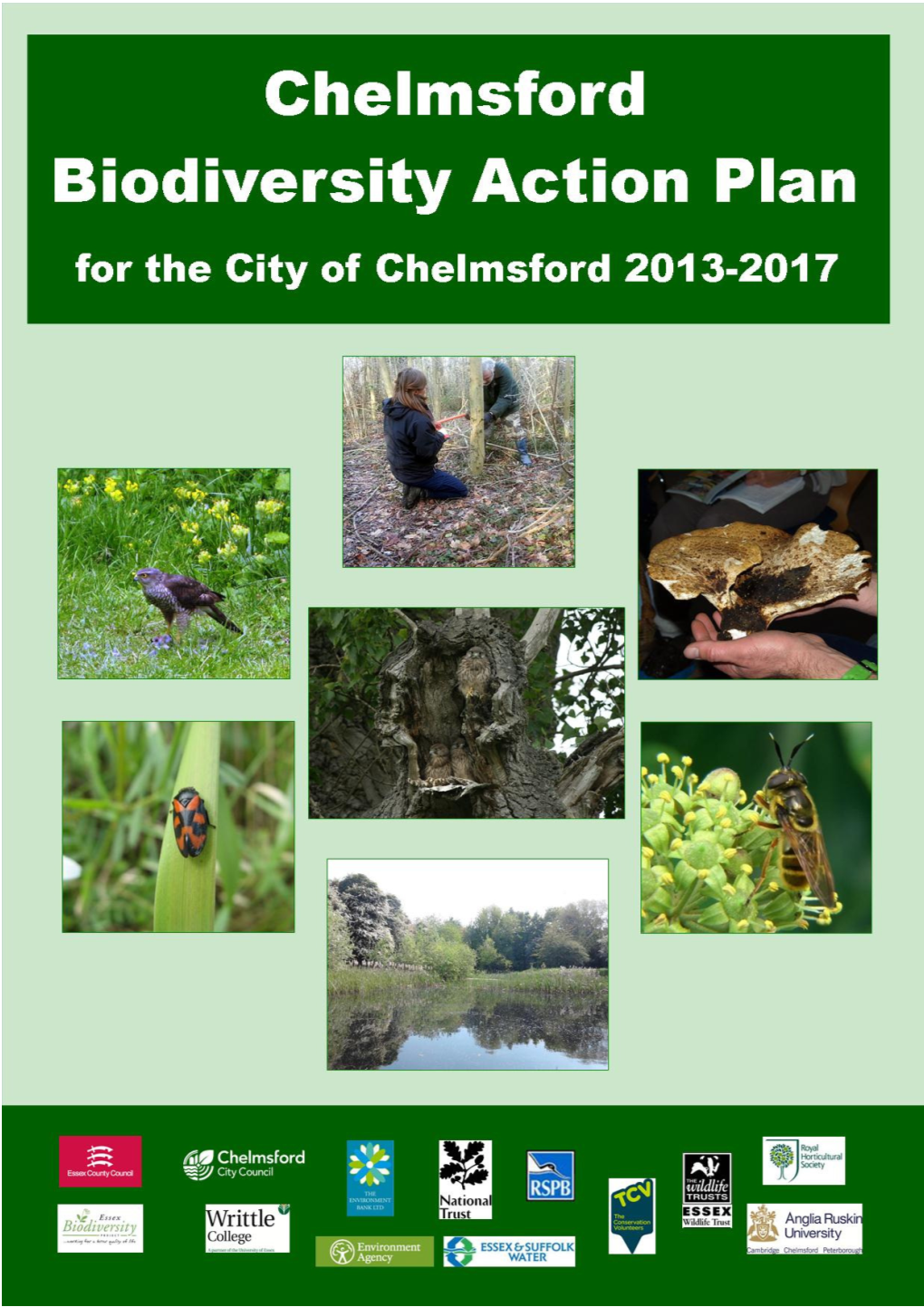 Chelmsford Biodiversity Action Plan 2013-18