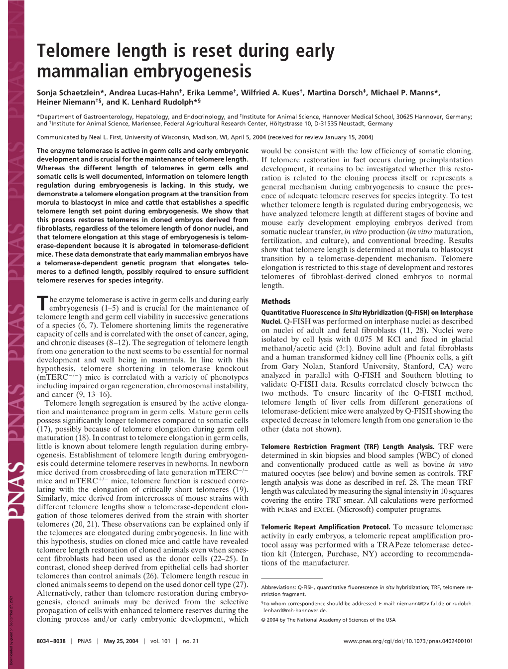 Telomere Length Is Reset During Early Mammalian Embryogenesis