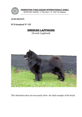 SWEDISH LAPPHUND (Svensk Lapphund)