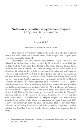 Notes on a Primitive Stingless Bee, Trigona (Nogueirapis) Mirandula