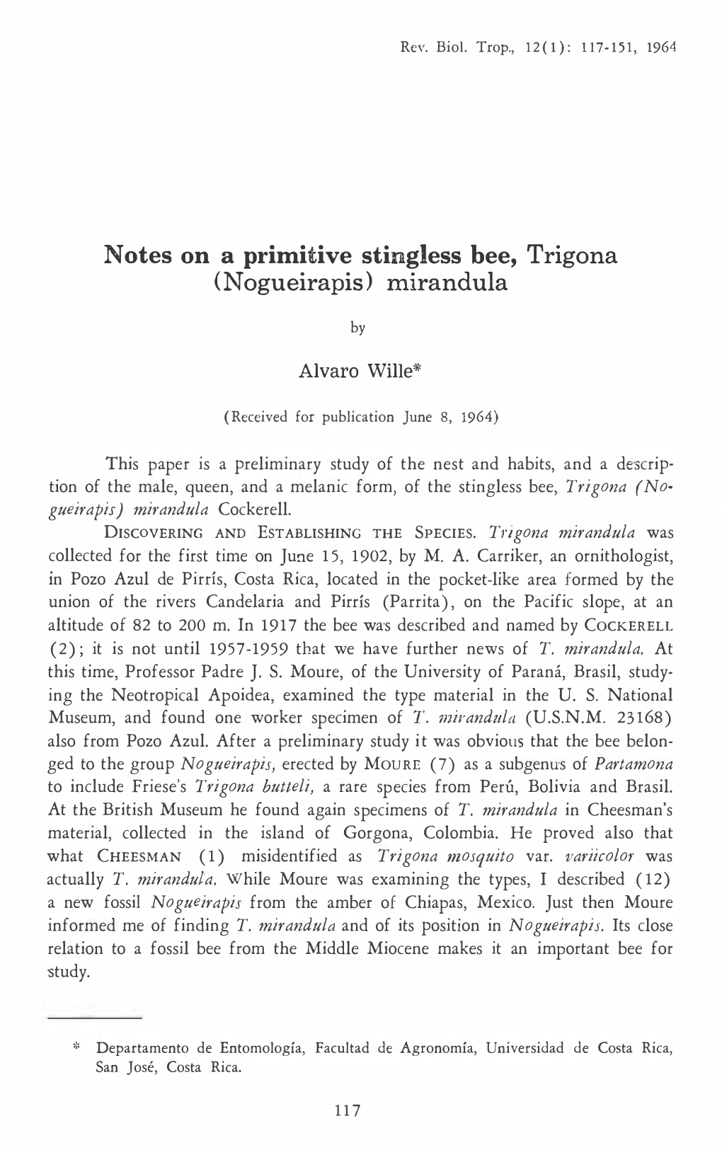 Notes on a Primitive Stingless Bee, Trigona (Nogueirapis) Mirandula