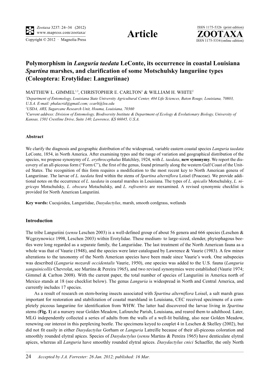 Polymorphism in Languria Taedata Leconte, Its Occurrence in Coastal