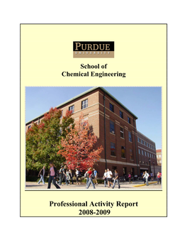 Professional Activity Report 2008-2009