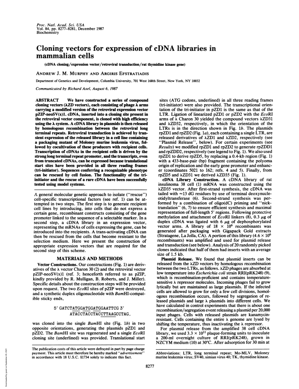 Cloning Vectors for Expression of Cdna Libraries in Mammalian Cells (Cdna Cloning/Expression Vector/Retroviral Transduction/Rat Thymidine Kinase Gene) ANDREW J