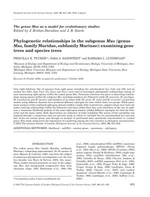 (Genus Mus, Family Muridae, Subfamily Murinae): Examining Gene Trees and Species Trees