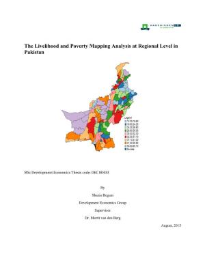 The Livelihood and Poverty Mapping Analysis at Regional Level in Pakistan
