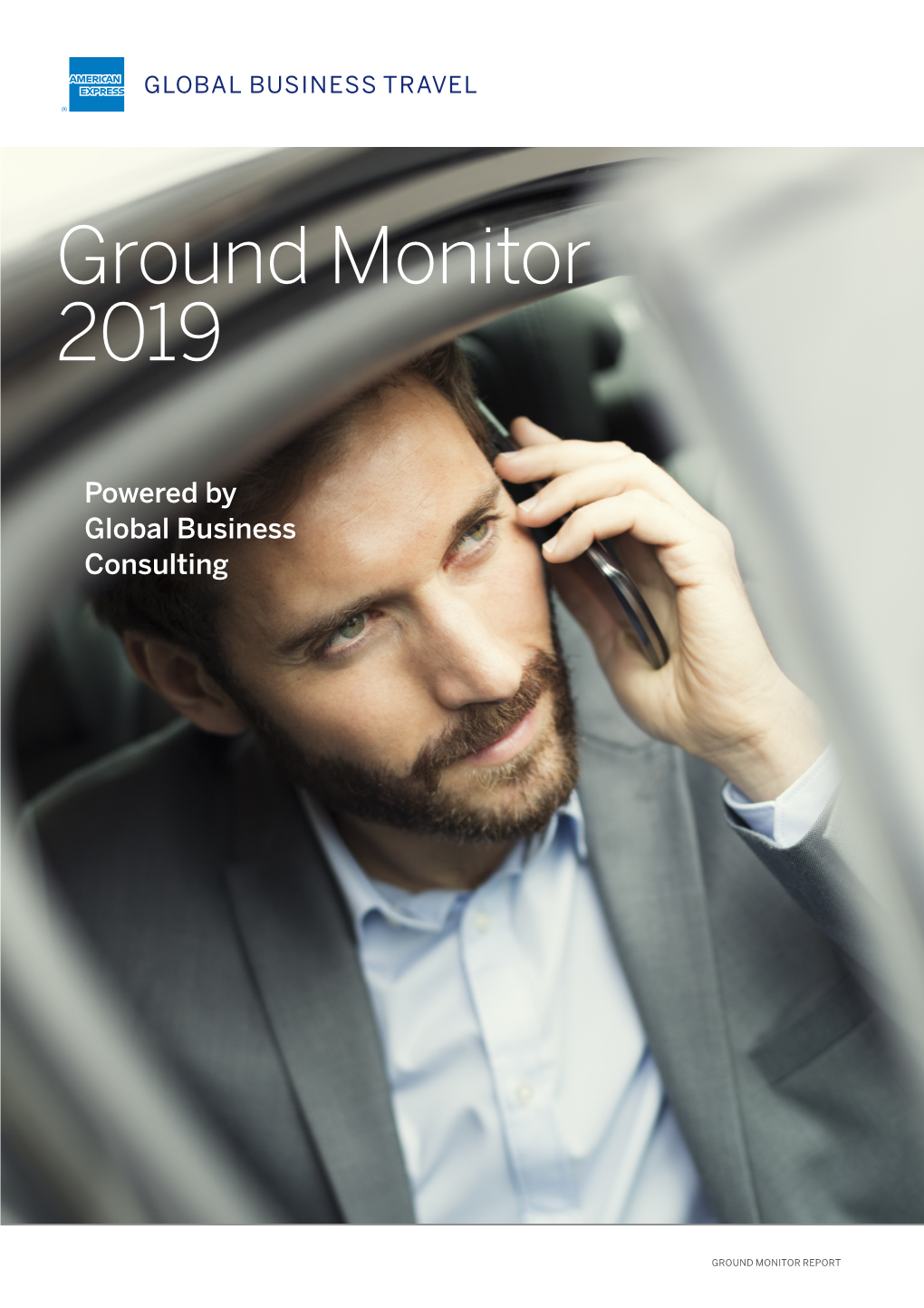 Ground Monitor 2019