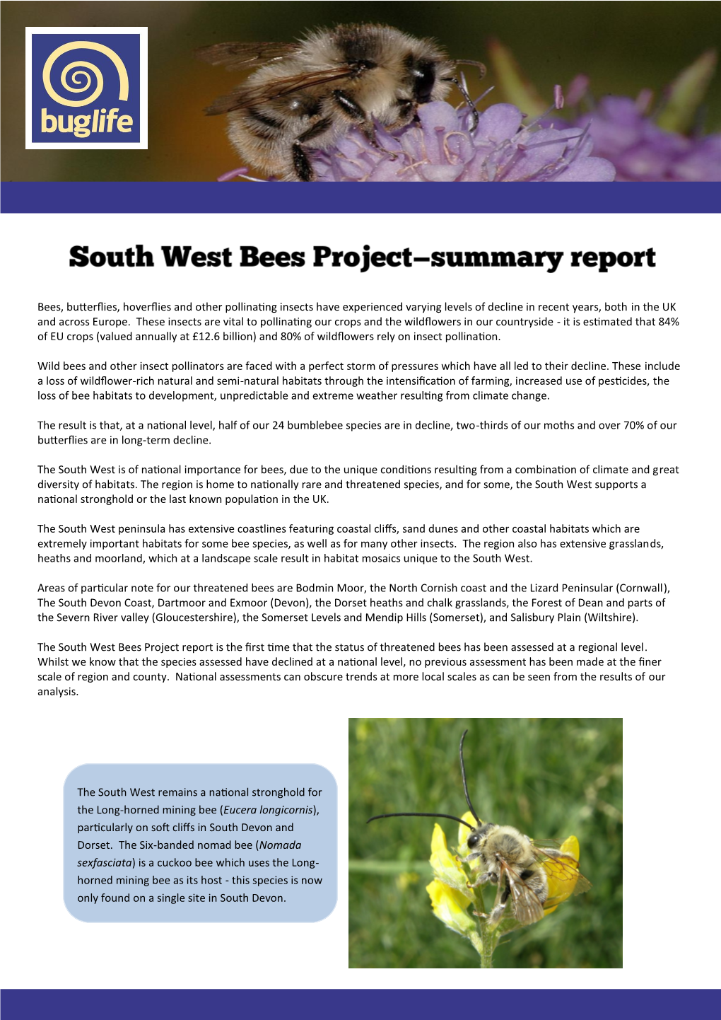 Bees, Butterflies, Hoverflies and Other Pollinating Insects Have Experienced Varying Levels of Decline in Recent Years, Both in the UK and Across Europe