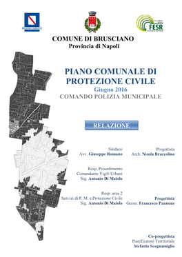 Relazione PPC Comune Di Brusciano.Pdf