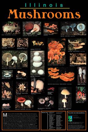 IDNR Mushrooms Poster QXP5