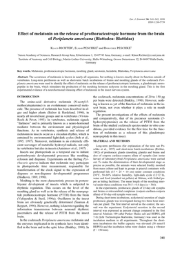 Effect of Melatonin on the Release of Prothoracicotropic Hormone from the Brain Ofperiplaneta Americana (Blattodea: Blattidae)