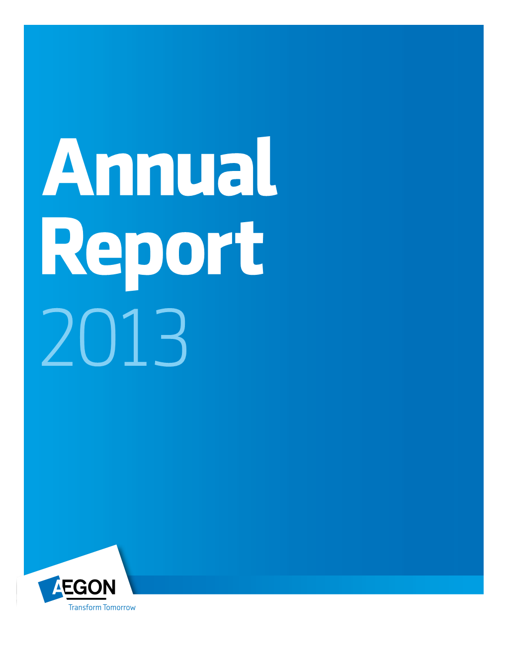 Aegon Annual Report 2013