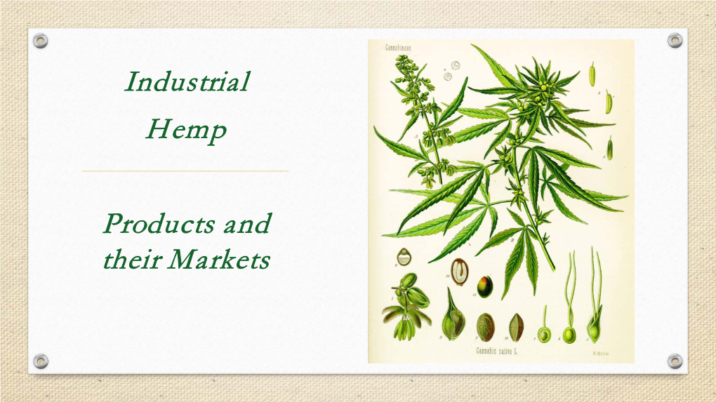 Industrial Hemp