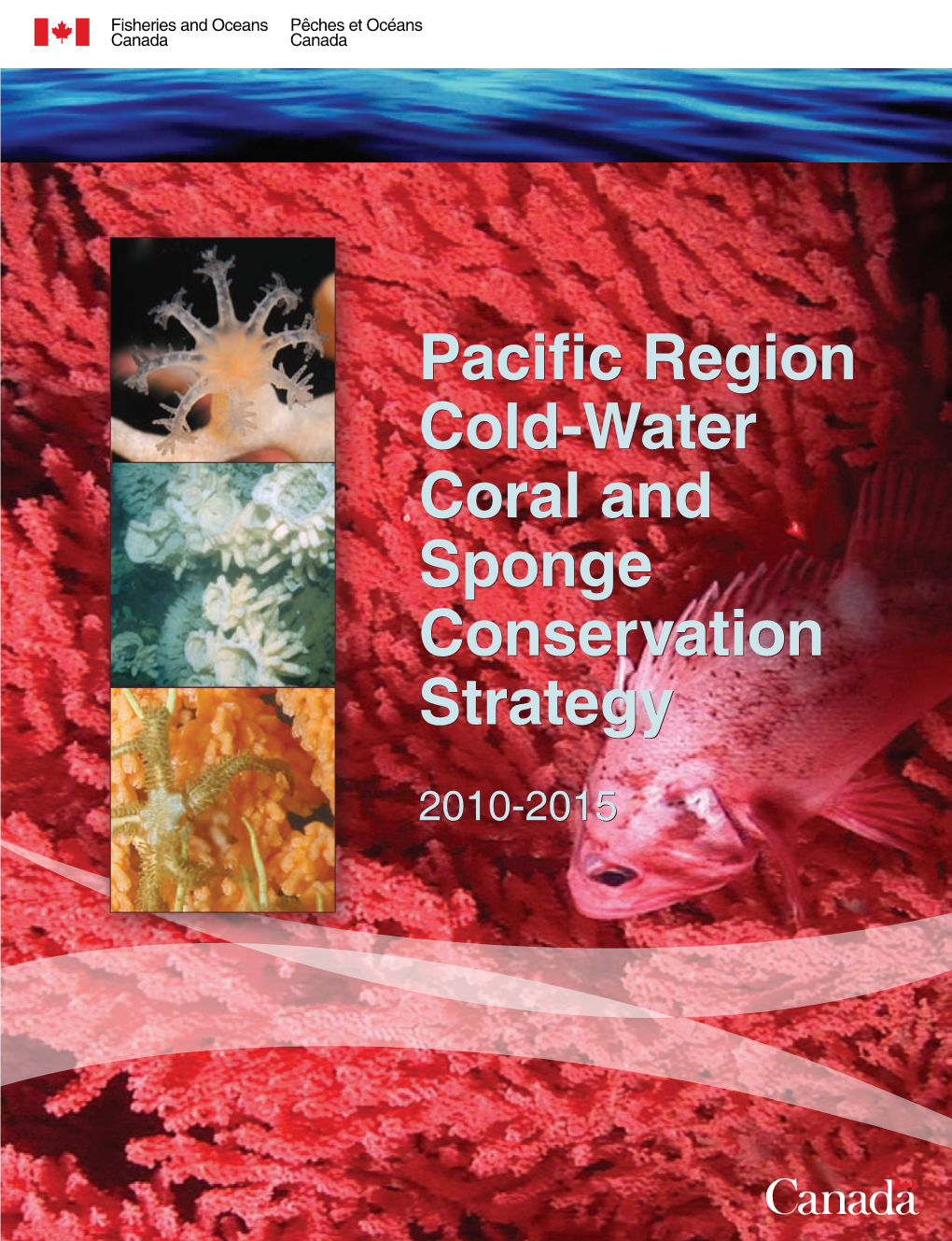 Pacific Region Cold-Water Coral and Sponge Conservation Strategy  Table of Contents, Continued