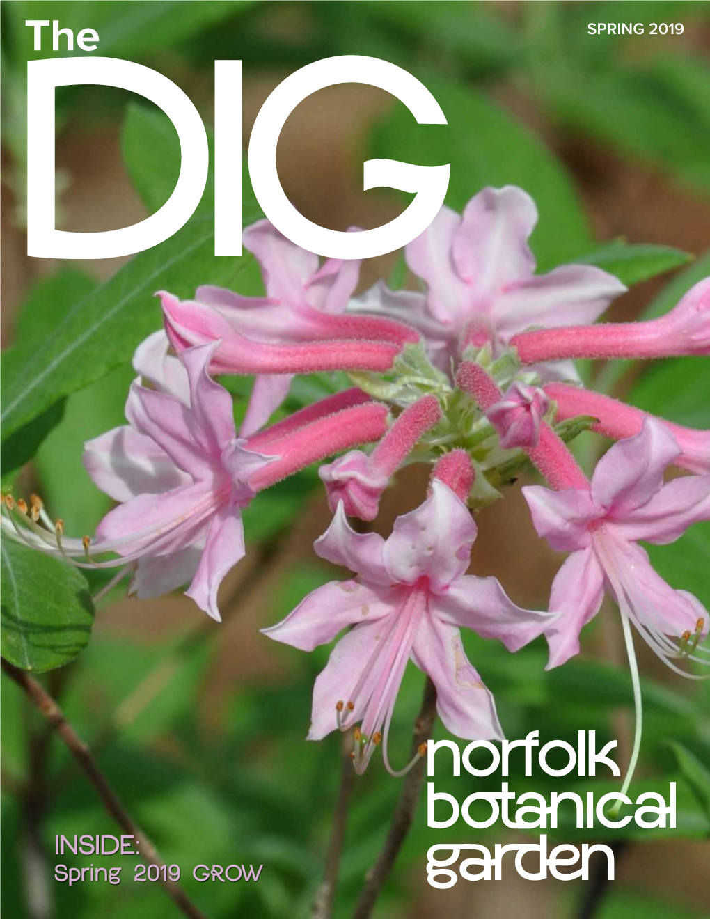 INSIDE: Spring 2019 GROW a the DIG • Norfolk Botanical Garden Spring 2019 from the President