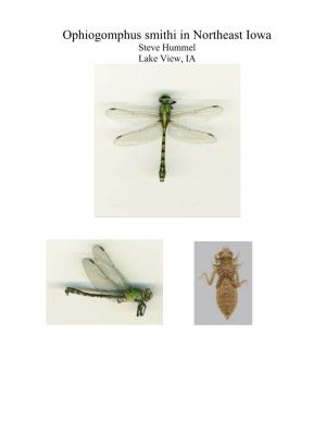 Report on Ophiogomphus Smithi and Other Odonate Species in Ne Iowa