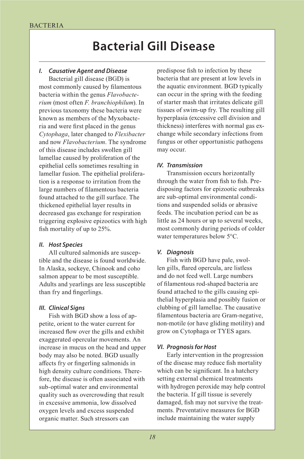 Bacterial Gill Disease