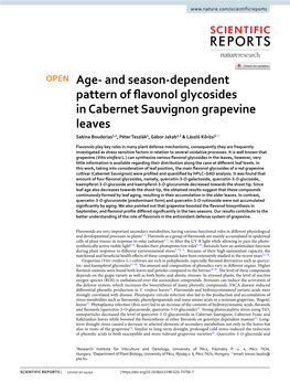 And Season-Dependent Pattern of Flavonol Glycosides In