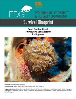 Survival Blueprint Pearl Coral 2015