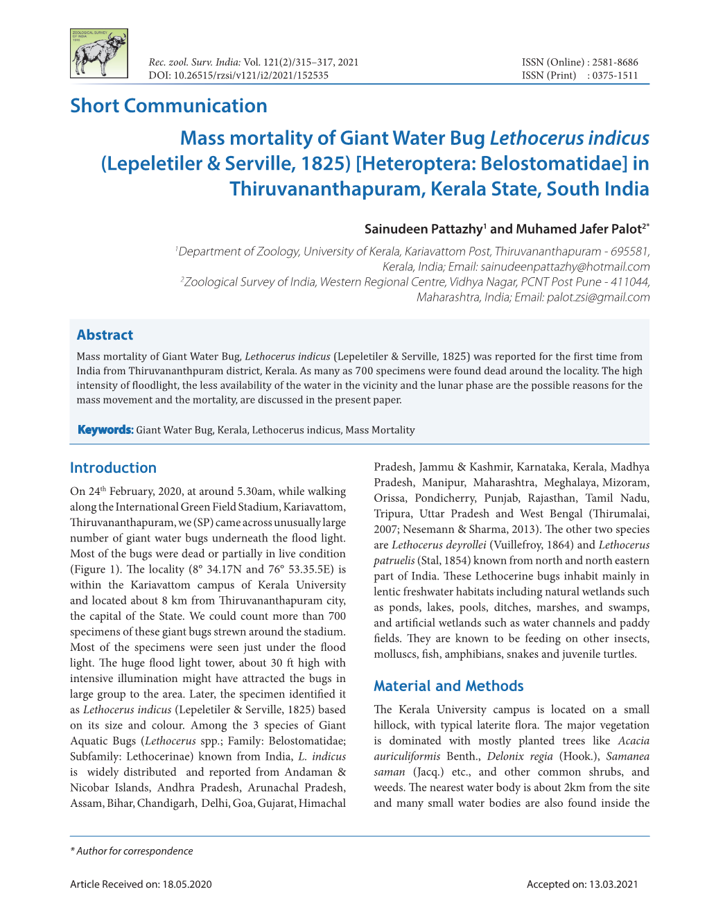 Short Communication Mass Mortality of Giant Water Bug Lethocerus