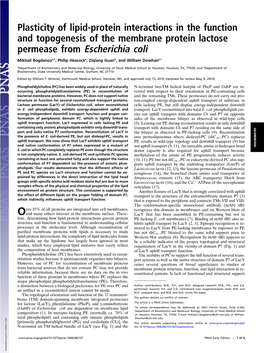 Permease from Escherichia Coli