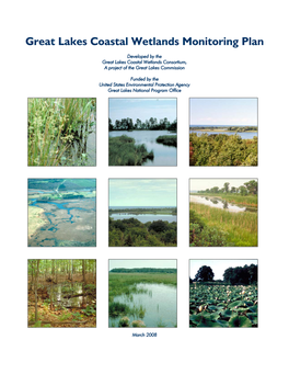 Great Lakes Coastal Wetlands Monitoring Plan