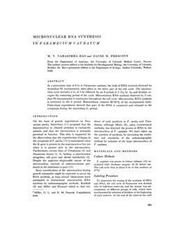 Micronuclear Rna Synthesis in Paramecium Caudatum